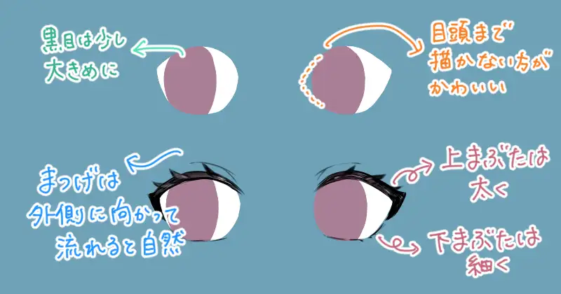 アタリを元に目の輪郭とまつ毛を描く